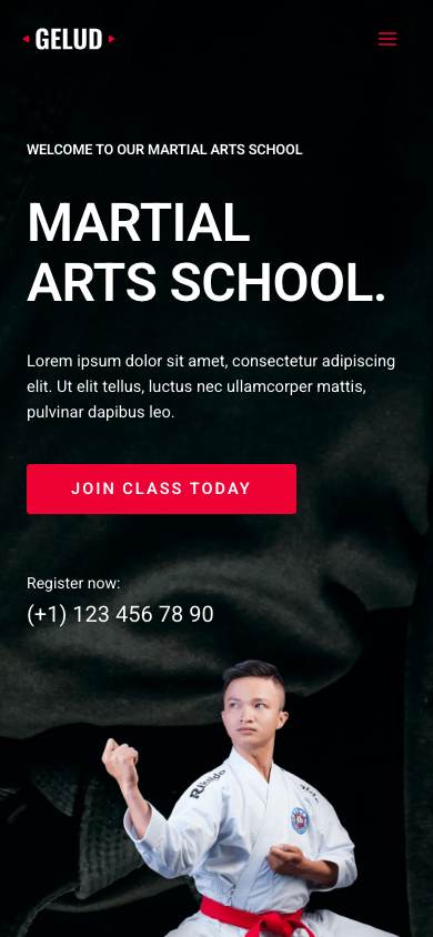 Martial Arts School mobile preview