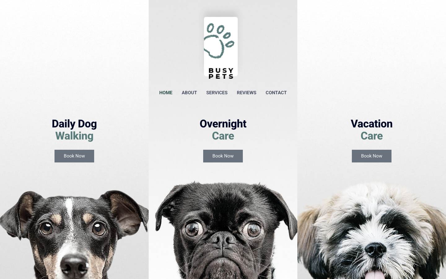 Pet Care desktop preview
