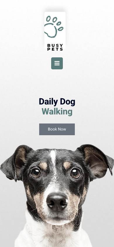 Pet Care mobile preview