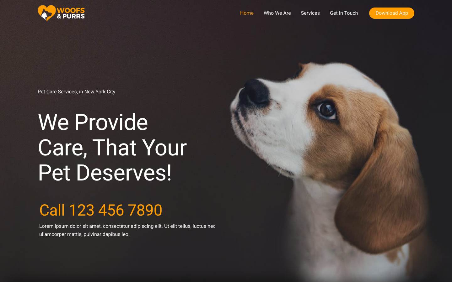 Pet Services desktop preview