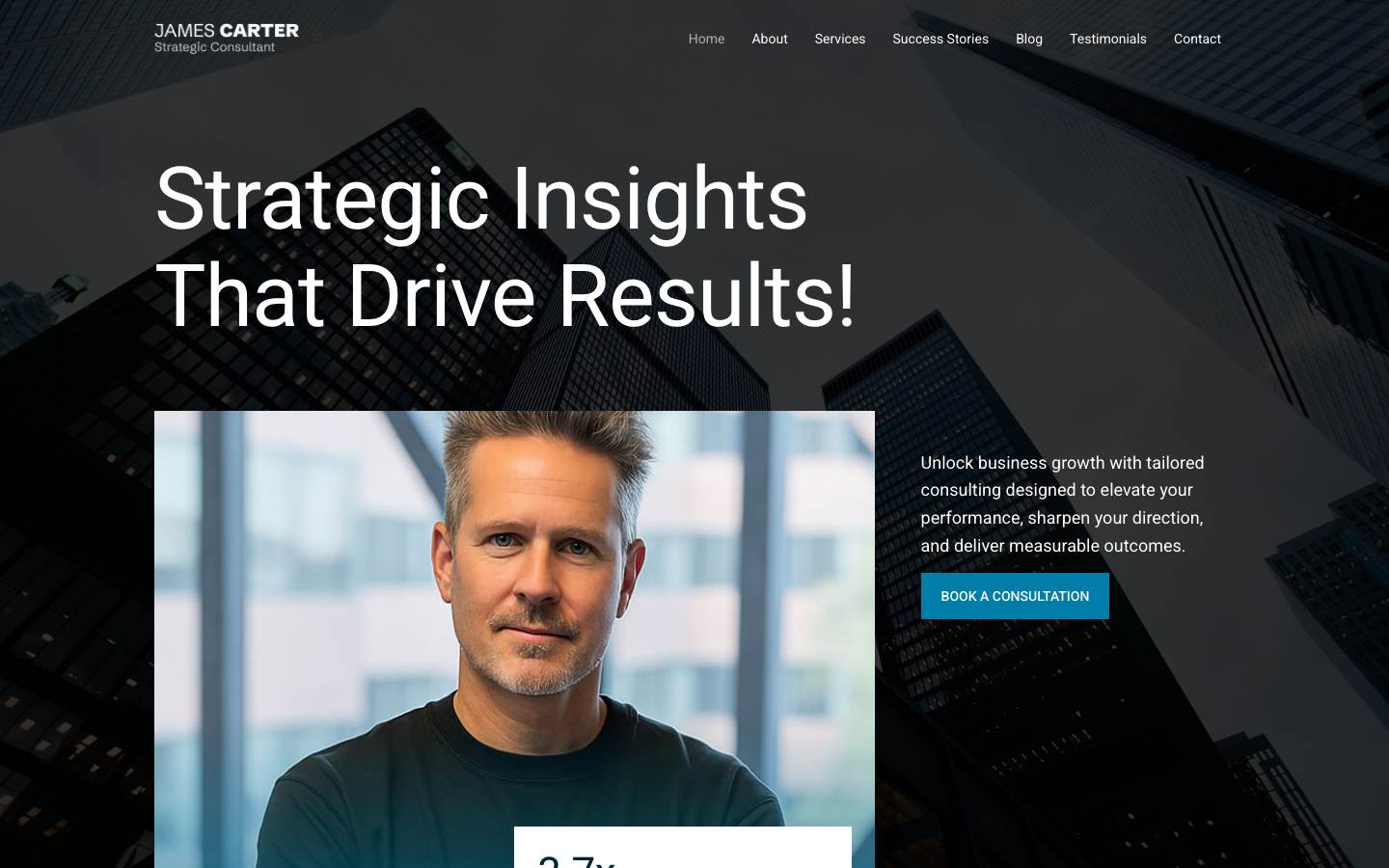 Professional Consultant desktop preview