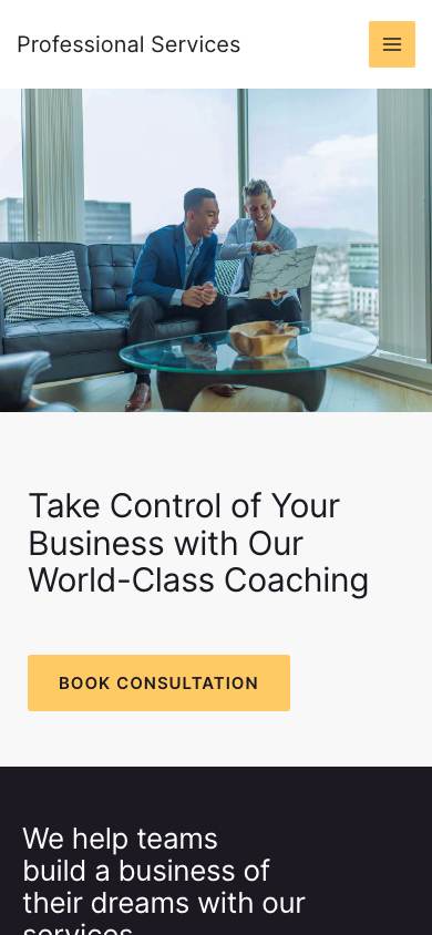 Professional Services mobile preview